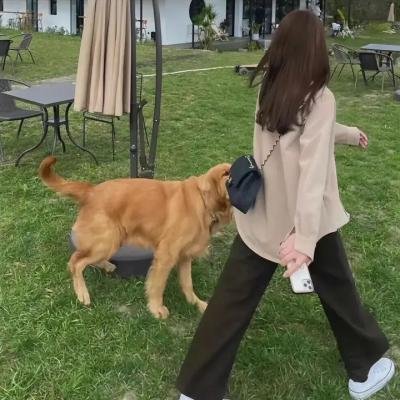 认贼作爸妈